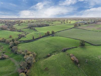 Click to view more details